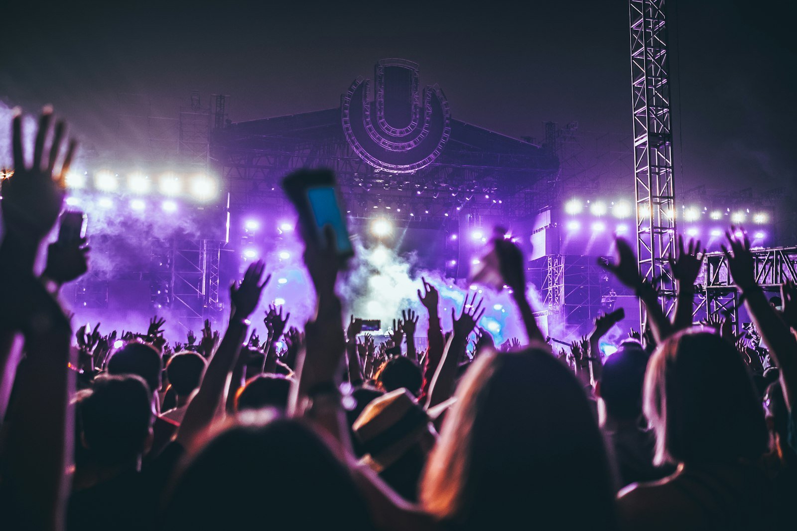 Concert audience